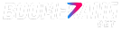 Boomerang bet Logo